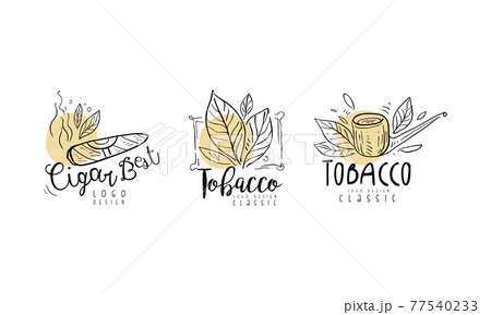 Tobacco Logo Design with Smoking Pipe and Plant Leaves in Hand Drawn Style Vector Set Tobacco Logo Design with Smoking Pipe and Plant Leaves in Hand Drawn Style Vector Set 77540233