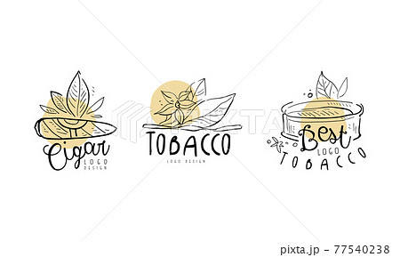 Tobacco Logo Design with Smoking Cigar and Plant Leaves in Hand Drawn Style Vector Set Tobacco Logo Design with Smoking Cigar and Plant Leaves in Hand Drawn Style Vector Set 77540238