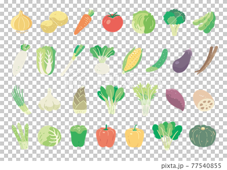 Food_Ingredients_Vegetables_No lines_Set 77540855