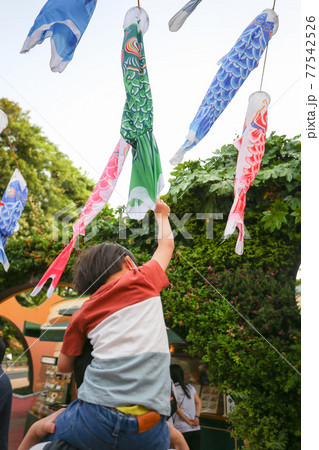 東京タワーで333匹の『こいのぼり』展示 東京タワーで333匹の『こいのぼり』展示 77542526