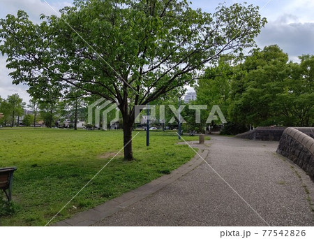 横浜市青葉区の奈良山公園 奈良一丁目 最寄駅 こどもの国駅 入園自由/通年 横浜市青葉区の奈良山公園 奈良一丁目 最寄駅 こどもの国駅 入園自由/通年 77542826
