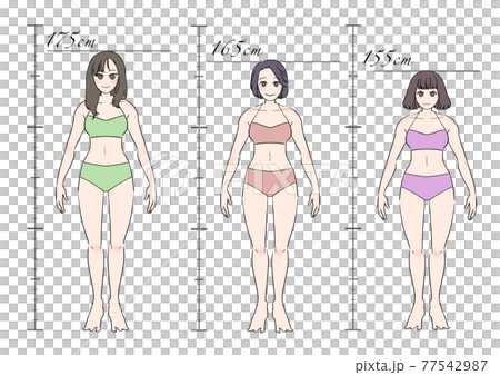 女性身高套裝 女性身高套裝 77542987