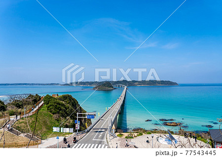 山口県下関市 海士ヶ瀬公園から眺める朝の角島大橋 山口県下関市 海士ヶ瀬公園から眺める朝の角島大橋 77543445