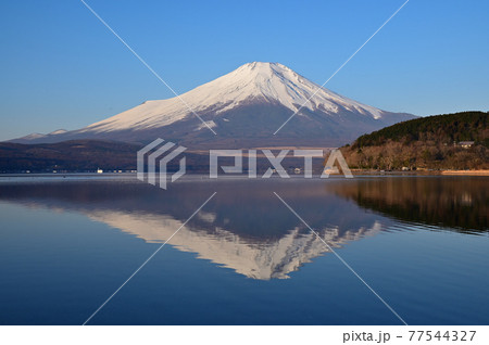 冠雪の富士山と山中湖 77544327