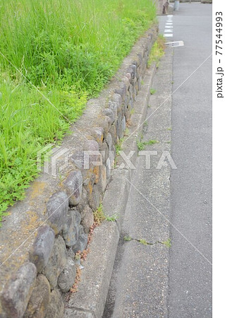 空地の石垣 空地の石垣 77544993