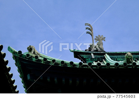 湯島聖堂・大成殿の屋根 77545603