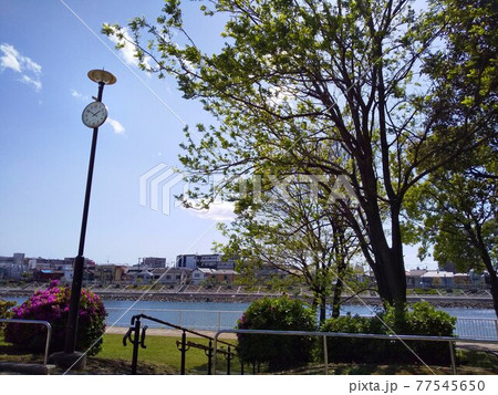 新緑の公園と運河 77545650