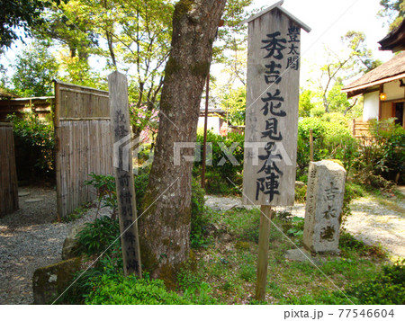 吉水神社の花見の本陣(奈良県吉野郡吉野町吉野山) 77546604