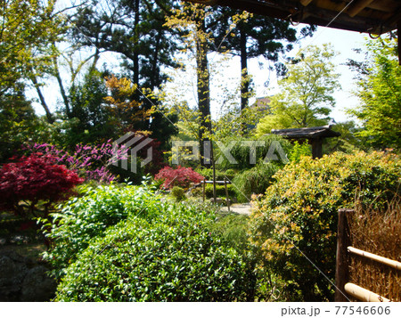 吉水神社の花見の本陣 奈良県吉野郡吉野町吉野山 の写真素材