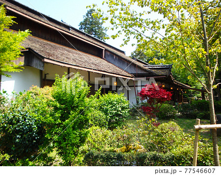 吉水神社の花見の本陣(奈良県吉野郡吉野町吉野山) 77546607