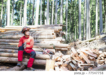 薪割りの合間に水分補給をする男性林業家 薪割りの合間に水分補給をする男性林業家 77547758