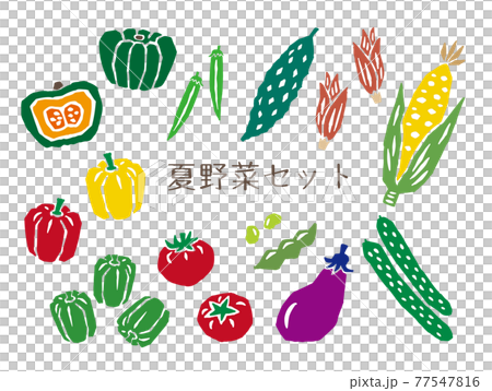 夏野菜　レトロなイラストセット 77547816