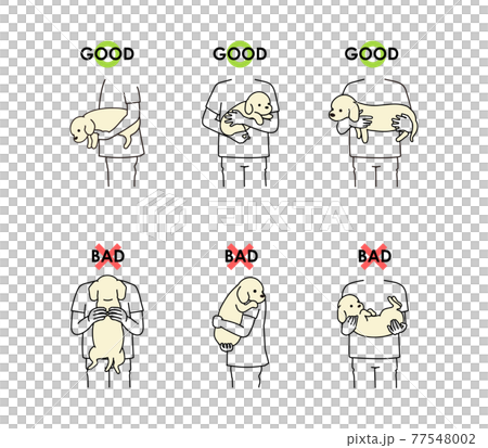 犬の正しい抱き方 誤った抱き方 犬の正しい抱き方 誤った抱き方 77548002