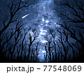 天の川を見上げて 77548069
