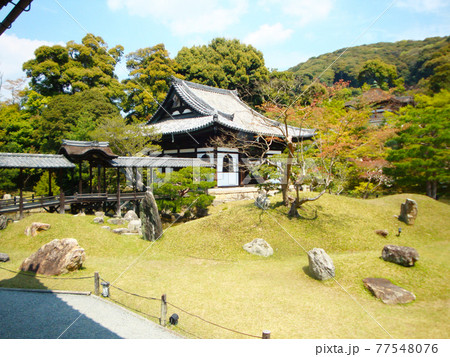 高台寺(京都府京都市東山区下河原町)2009年4月12日撮影 77548076