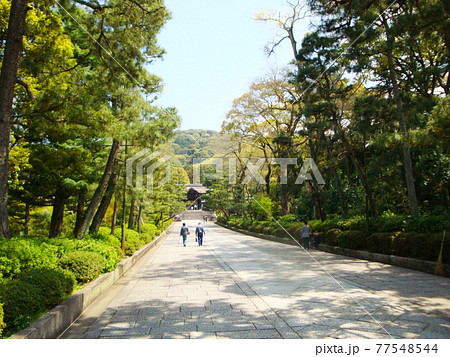 ねねの道から大谷祖廟へと続く道(京都府京都市東山区) 77548544