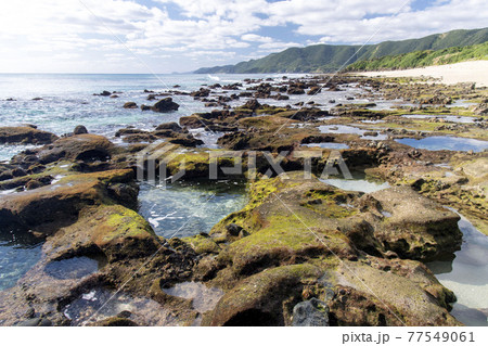 奄美大島 手広海岸のハートロック 奄美大島 手広海岸のハートロック 77549061
