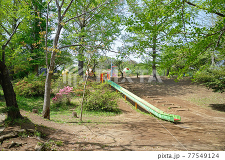 新緑とツツジ咲く、千葉県鎌ケ谷市、市制記念公園、遊戯場 新緑とツツジ咲く、千葉県鎌ケ谷市、市制記念公園、遊戯場 77549124