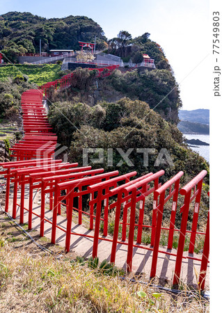 山口県長門市　元乃隅稲成神社の連なる鳥居と海 77549803