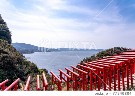 山口県長門市　元乃隅稲成神社の連なる鳥居と海 77549804
