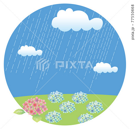初夏梅雨の植物花 梅雨空と紫陽花のイラスト 自然風景円バナーイラストのイラスト素材