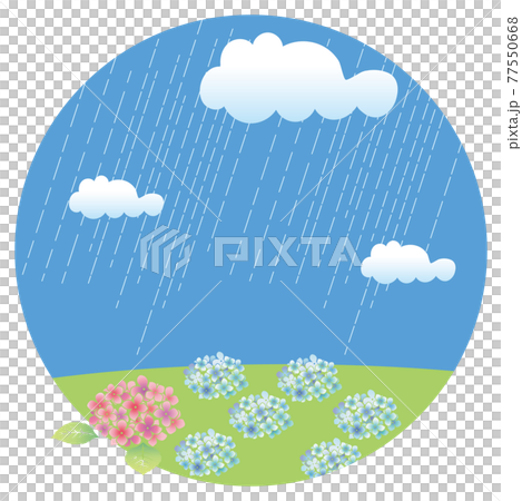 初夏梅雨の植物花 梅雨空と紫陽花のイラスト 自然風景円バナーイラスト 初夏梅雨の植物花 梅雨空と紫陽花のイラスト 自然風景円バナーイラスト 77550668