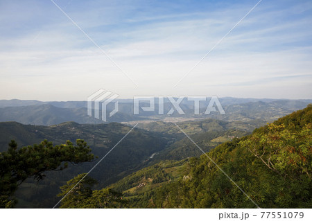 Tara mountain landscape at the viewpoint named Crnjeskovo. Western Serbia 77551079