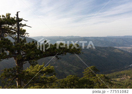 Tara mountain landscape at the viewpoint named Crnjeskovo. Western Serbia 77551082