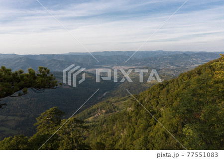 Tara mountain landscape at the viewpoint named Crnjeskovo. Western Serbia 77551083