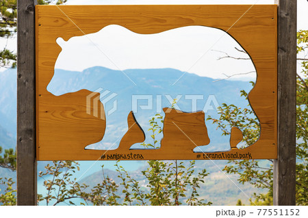 Bear sign at Tara National Park, Serbia. Viewpoint Banjska Stena 77551152
