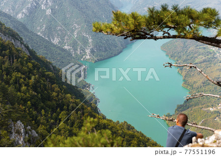 Tara National Park, Serbia. Viewpoint Banjska Stena. View at Drina river canyon and lake Perucac with Focus on the lake and canyon Tara National Park, Serbia. Viewpoint Banjska Stena. View at Drina river canyon and lake Perucac with Focus on the lake and canyon 77551196