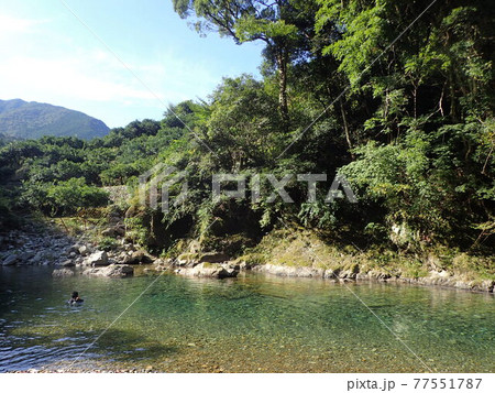 森と青空と川岸 77551787