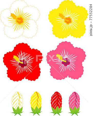 ハイビスカスの花と蕾のイラスト素材のイラスト素材