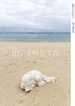 奄美群島 加計呂麻島の徳浜 奄美群島 加計呂麻島の徳浜 77552396