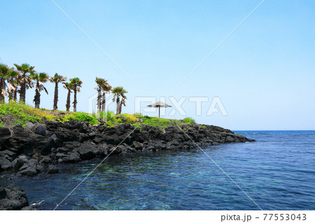 済州島 海岸 ビーチ 77553043