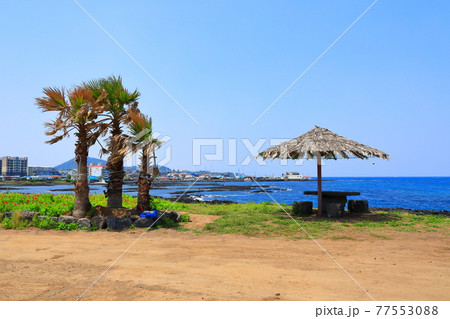 済州島 海岸 ビーチ 77553088