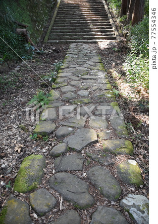 長興山母の里 杉林に囲まれた石段公苑 長興山母の里 杉林に囲まれた石段公苑 77554346