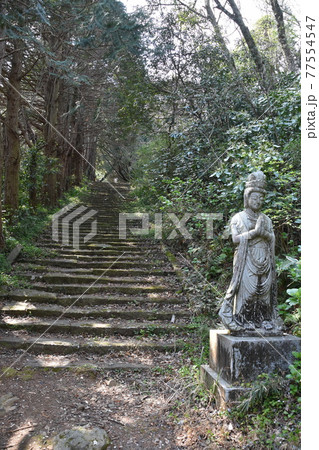 長興山母の里 杉林に囲まれた石段公苑 長興山母の里 杉林に囲まれた石段公苑 77554547