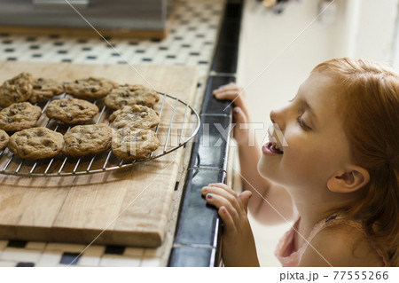 Girl peeking over kitchen counter at biscuits 77555266