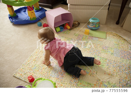 Baby girl, crawling towards toys, rear view, elevated view 77555596
