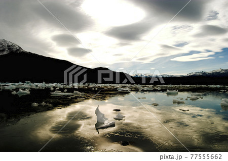 Icebergs, Upsala Glacier tour, Glacier National Park, Lago Argentina, Argentina 77555662