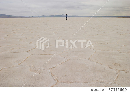 Person standing on salt flat, looking at view, rear view, Salar de Arizaro, Salta Province, Argentina 77555669