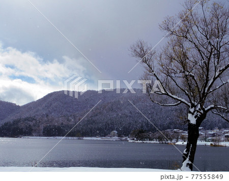 冬の余呉湖(滋賀県長浜市) 冬の余呉湖(滋賀県長浜市) 77555849