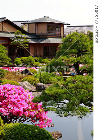 春の由志園 77556017