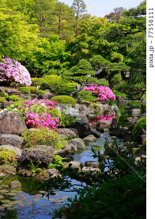 春の由志園 春の由志園 77556111