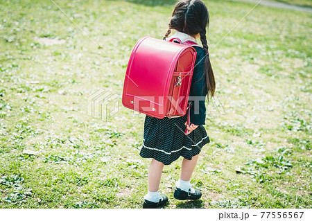 小学校入学 小学校入学 77556567