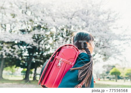 小学校入学 77556568