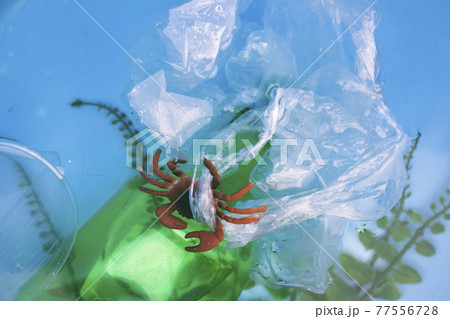 Small crab entangled in a plastic bag. Plastic pollution of the oceans. Ecology and environment protection concept Small crab entangled in a plastic bag. Plastic pollution of the oceans. Ecology and environment protection concept 77556728