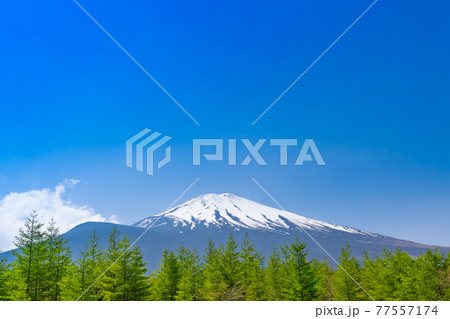 富士山　御殿場口新五合目の風景 77557174