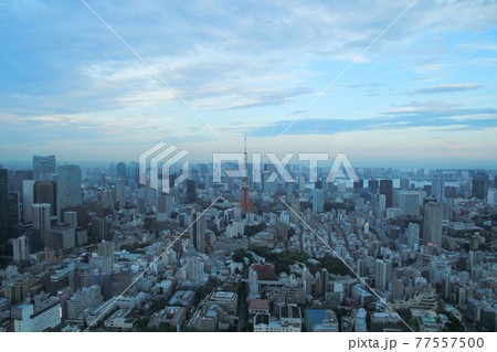 六本木ヒルズ東京シティビュー 東京タワーと都市風景の眺望 六本木ヒルズ東京シティビュー 東京タワーと都市風景の眺望 77557500
